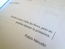 Haga click para ver la imagen ampliada podran cortar todas las flores pero no podran.jpg